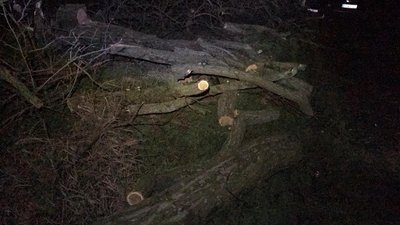 На Херсонщині громадські активісти затримали лісового браконьєра і передали його поліцейським На Херсонщині громадські активісти затримали лісового браконьєра і передали його поліцейським