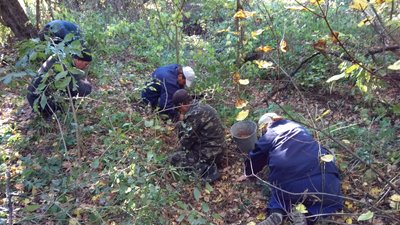 На Луганщині у максимально короткі строки планують відновити згорілий ліс На Луганщині у максимально короткі строки планують відновити згорілий ліс