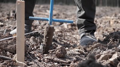 Під час весняної кампанії на Вінниччині планують висадити 720 гектарів лісів Під час весняної кампанії на Вінниччині планують висадити 720 гектарів лісів