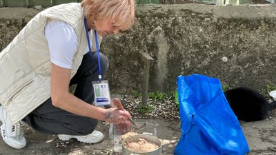 Катерина Литвінова, волонтерка, Херсон, годує тварин Катерина Литвінова, волонтерка, Херсон, годує тварин
