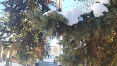 погода на Хмельниччині 26 листопада