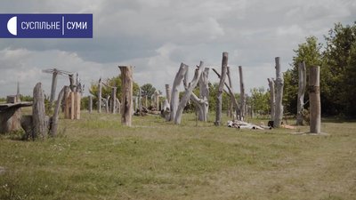 Могриця Могриця