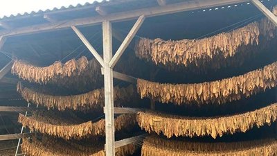 Продукція Продукція