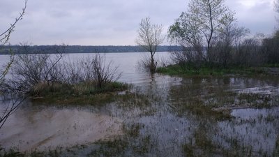 У Запоріжжі, через скид води на Дніпровській ГЕС, підтопило осушені ділянки узбережжя У Запоріжжі, через скид води на Дніпровській ГЕС, підтопило осушені ділянки узбережжя