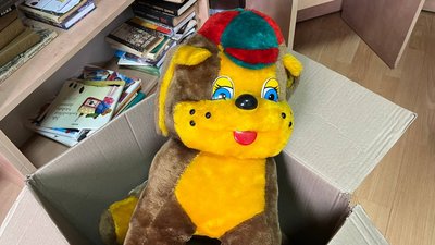 Книги та іграшки для дітей вимушених переселенців збирають у Закарпатській обласній бібліотеці Книги та іграшки для дітей вимушених переселенців збирають у Закарпатській обласній бібліотеці