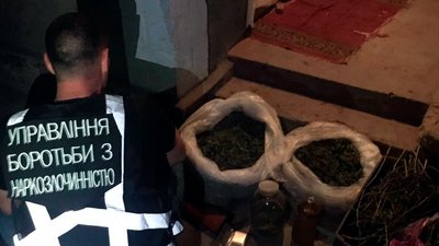 Вирощував коноплю серед огірків: на Херсонщині затримали наркоділка