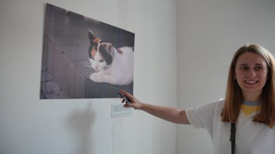 Сумське медіа «Цукр» зробило плівкову фотовиставку до Дня Незалежності