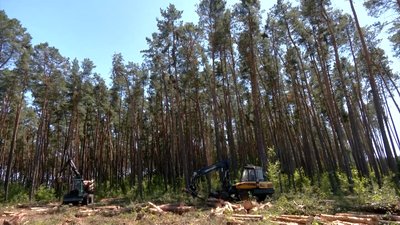 "Лісовий комбайн": на Рівненщині механізували заготівлю деревини