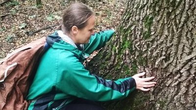 Щурівську балку на Дніпропетровщині вносять до реєстру природоохоронних зон Щурівську балку на Дніпропетровщині вносять до реєстру природоохоронних зон