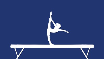 Кропивницькі гімнастки вибороли ”золото” та ”срібло” чемпіонату України