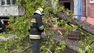 Буревій у Кропивницькому: дерева падають на дороги, тротуари та будинки Буревій у Кропивницькому: дерева падають на дороги, тротуари та будинки