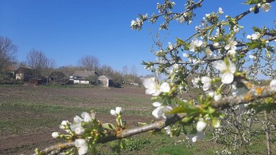 Село на Хмельниччині весною