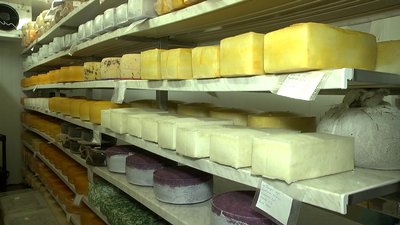 На одній з ферм Херсонщини приготували сири у вигляді прапора