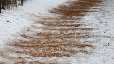 У Кракові, за прикладом Львова, посипатимуть доріжки кавовою гущею
