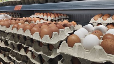 Вартість яєць у Дніпрі зросла більш ніж удвічі. Експерт розказав, чому і якої ціни чекати
