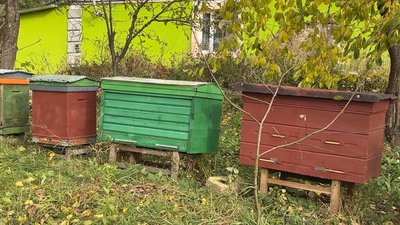 татова пасіка татова пасіка