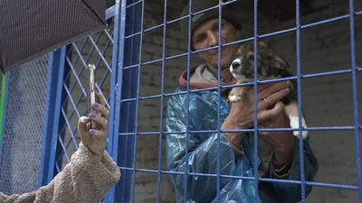 “Можна погратися або принести гостинця”: у вінницькому притулку організували акцію “Тварини під опіку”