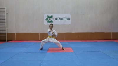 Хмельницькі спортсмени змагаються в онлайн-чемпіонаті з багатоборств