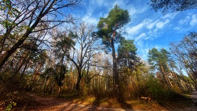 Житомирський Гідропарк Житомирський Гідропарк