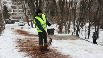 У львівському парку кавовою гущею посипали доріжки