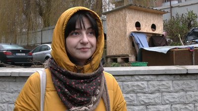 волонтери і коти волонтери і коти
