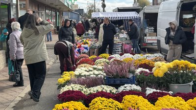 "Беруть на кладовище": які квіти купують та які ціни в Ужгороді