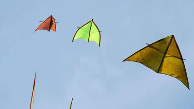 На Дніпропетровщині проводять чемпіонат України з кайт-флаїнгу-2020 (фото) На Дніпропетровщині проводять чемпіонат України з кайт-флаїнгу-2020 (фото)