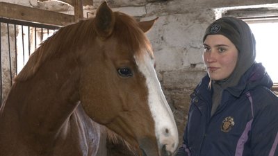 Страждають, як і люди: на Черкащині прихистили коней із "гарячих точок"