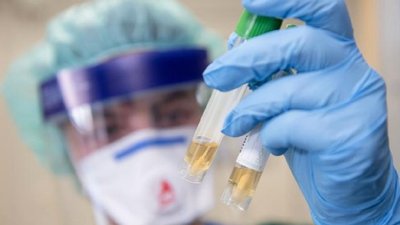 Коронавірус на Закарпатті: за добу виявили 14 нових хворих