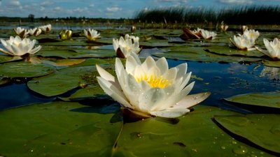 Одноденні подорожі Херсонщиною: де і як провести вихідні Одноденні подорожі Херсонщиною: де і як провести вихідні
