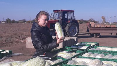 Досліджує властивості капусти: як школярка з Херсона стала членкинею Нью-Йоркської академії наук