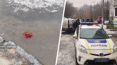 У спальному районі Харкова на тротуарі знайшли гранату