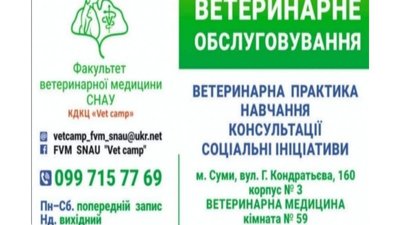 У Сумах проходить акція з безоплатної стерилізації котів У Сумах проходить акція з безоплатної стерилізації котів