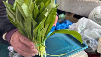 На Черкащині екоінспекція зафіксувала перші випадки незаконного продажу черемші