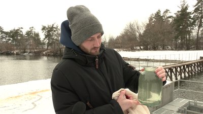 Загибель качок на річці Уди у Харкові: воду перевірять Загибель качок на річці Уди у Харкові: воду перевірять