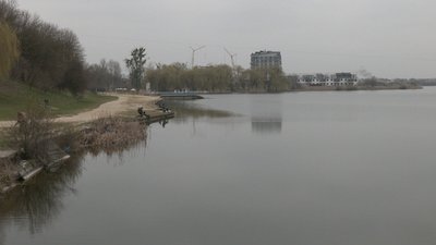 Рівненський науковець розповів, чому цвіте Устя та як розчистити Басівкутське озеро Рівненський науковець розповів, чому цвіте Устя та як розчистити Басівкутське озеро