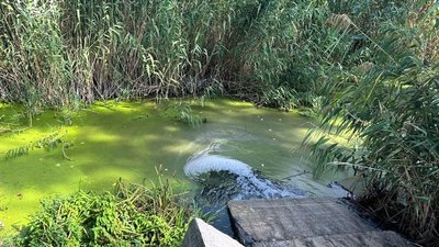Забруднення річки Орчик