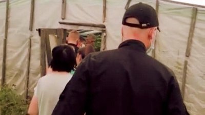 Поліцейські виявили плантацію елітної коноплі у теплиці прикарпатця Поліцейські виявили плантацію елітної коноплі у теплиці прикарпатця