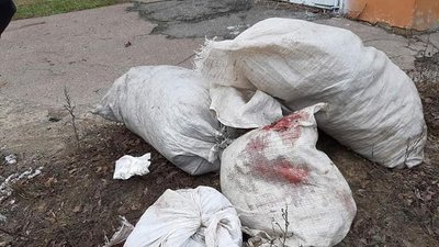 Мішки з вбитими тваринами знайшли на Сумщині. Поліція шукає живодера