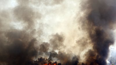 На одному з Канарських островів спалахнула лісова пожежа