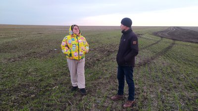 "Озимі в чудовому стані": результати посіву з нульовим обробітком ґрунту на Миколаївщині "Озимі в чудовому стані": результати посіву з нульовим обробітком ґрунту на Миколаївщині