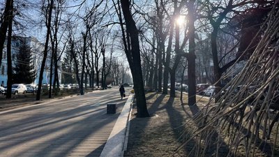 Житомир, погода, природа, довкілля, лютий 2025 року