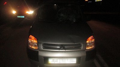 Травмовані пішоходи: в ДТП у Бердичеві постраждали жінка та дитина