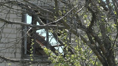 "Страшно, коли як обстріли. Потім приходить адреналін". Як живуть у селі Магдалинівка Запорізького району "Страшно, коли як обстріли. Потім приходить адреналін". Як живуть у селі Магдалинівка Запорізького району