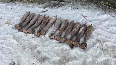 Черкаські рятувальники за добу вилучили більше двох десятків боєприпасів Черкаські рятувальники за добу вилучили більше двох десятків боєприпасів