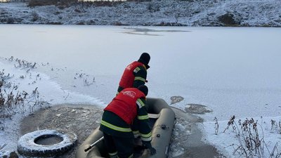 В Новоукраїнці рятувальники визволили з криги зграю лебедів В Новоукраїнці рятувальники визволили з криги зграю лебедів