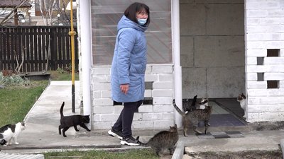 "Ціла родина тварин": як черкасці опікуються вуличними тваринами