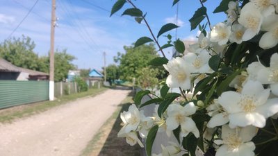 Погода, Франківськ