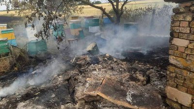 За добу в Миколаївській області сталися 12 пожеж — ДСНС За добу в Миколаївській області сталися 12 пожеж — ДСНС