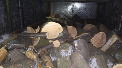 З початку тижня на Дніпропетровщині поліцейські двічі виявляли незаконно спиляні дерева З початку тижня на Дніпропетровщині поліцейські двічі виявляли незаконно спиляні дерева